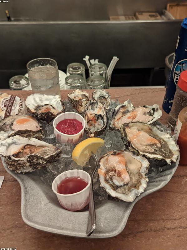 Oysters